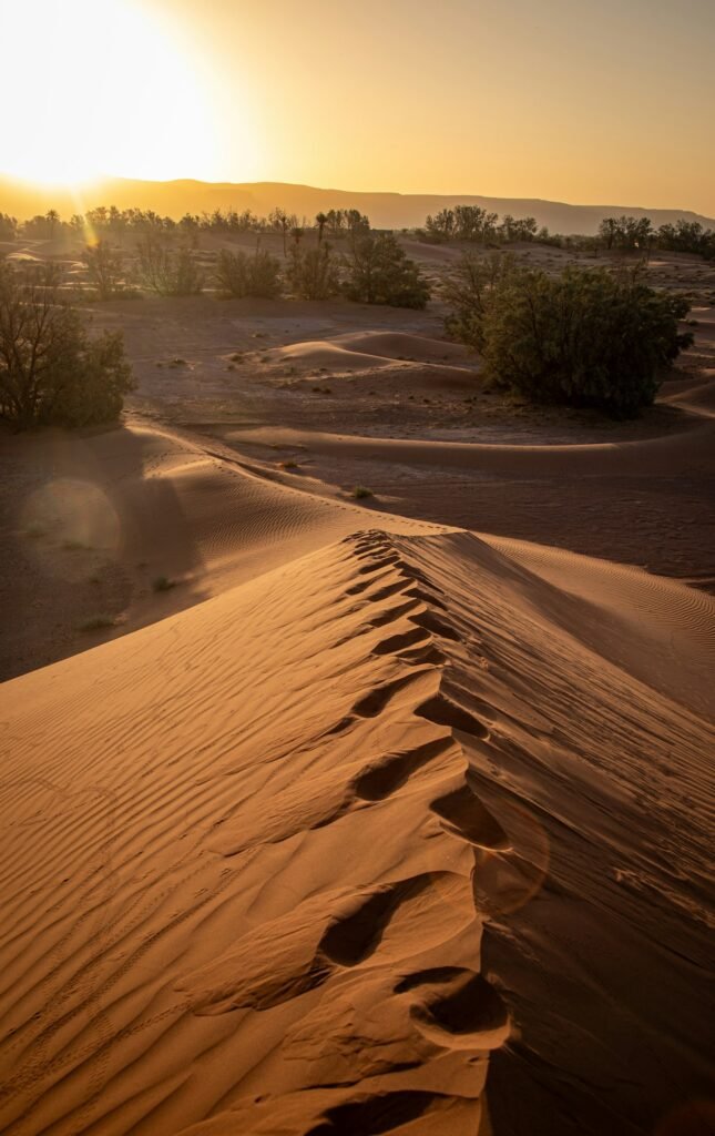 Rippled desert sand dunes with footprints leading over the crest at sunset